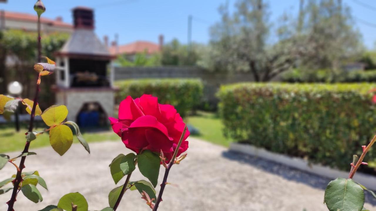 Elina House And Garden Βίλα Νικήτη Εξωτερικό φωτογραφία